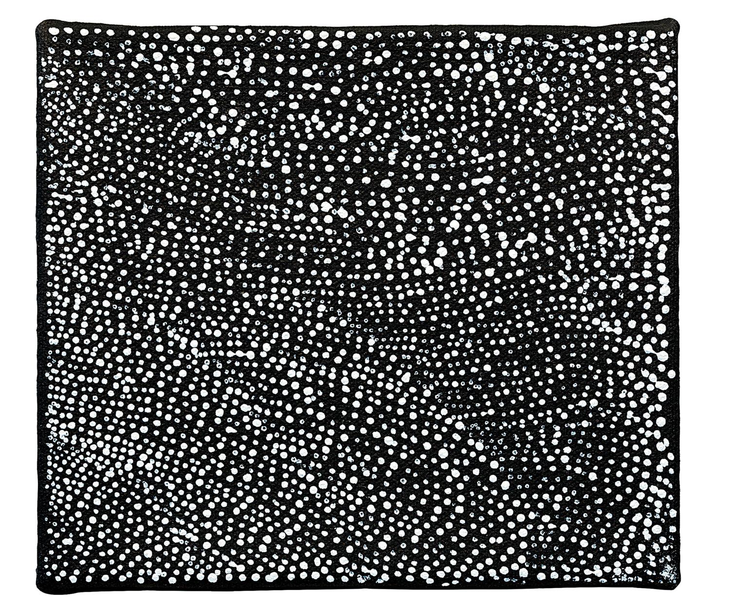 Lily Kelly作 アボリジニアート Lily Kelly作 アボリジニアート Lily Kelly Napangardi Bio & Artwork